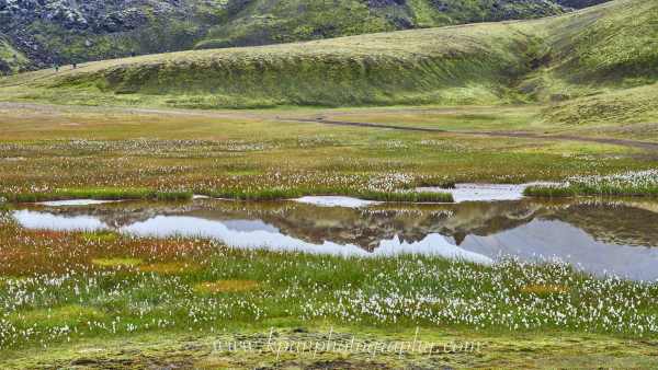 1408_Landmannalaugar_71