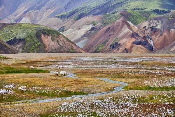 1408_Landmannalaugar_72