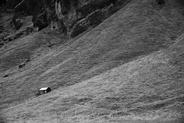 1408_Ring-Road_01
