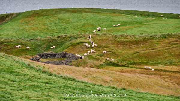 1408_Skutustadagigar-volcano_04