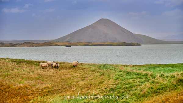 1408_Skutustadagigar-volcano_05