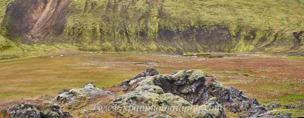 2409_Landmannalaugar_66