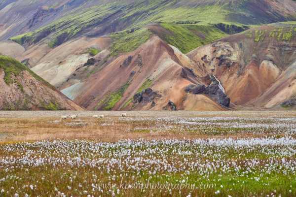 2409_Landmannalaugar_74