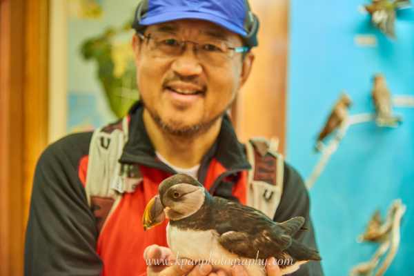 1409_Vestmannaeyjar_04