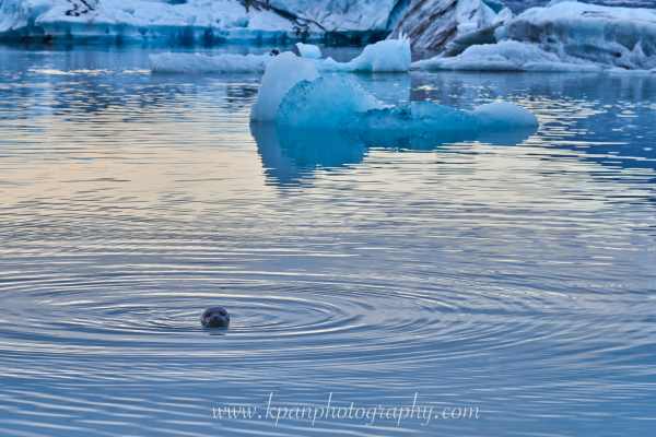 2409_Seal_02