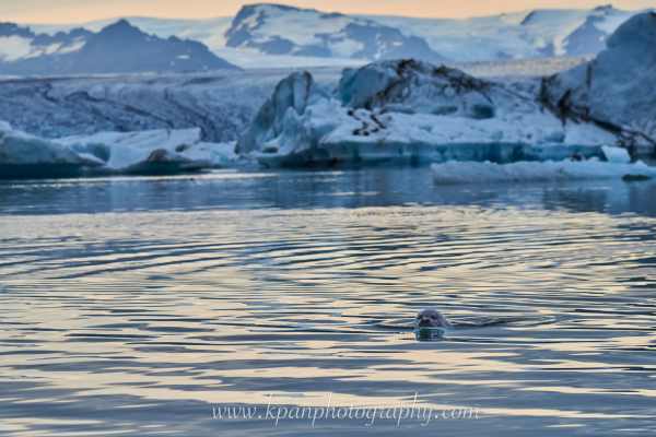 2409_Seal_03