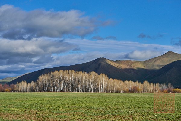 2205_Idaho_003