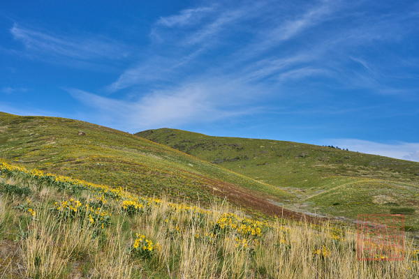 2205_Montana_091