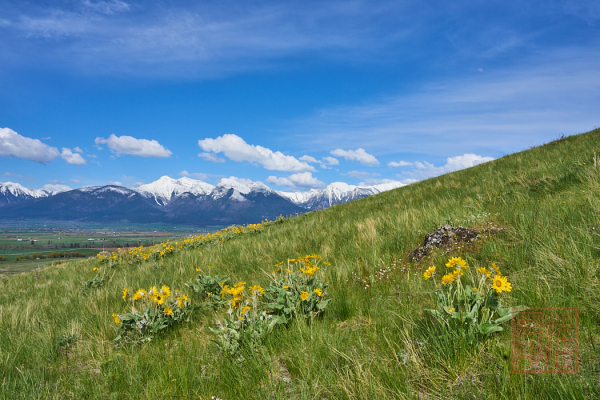 2205_Montana_098
