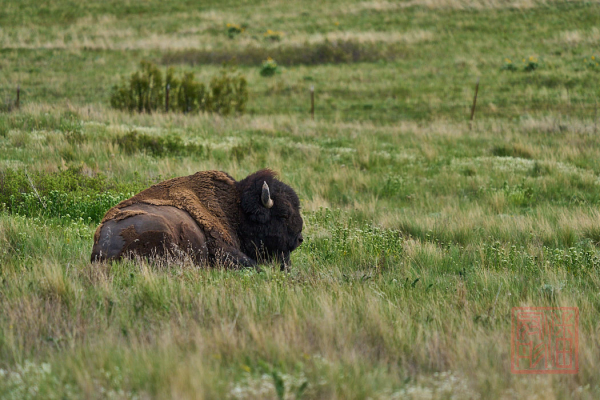 2205_Montana_101