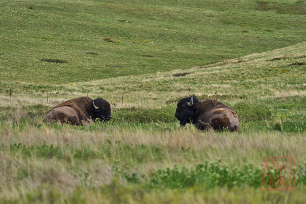 2205_Montana_102