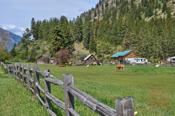 2205_Montana_128