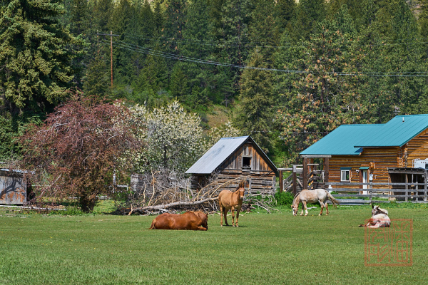 2205_Montana_129