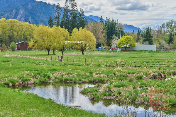 2205_Montana_133