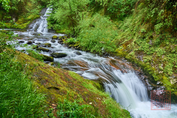 2205_Oregon_176