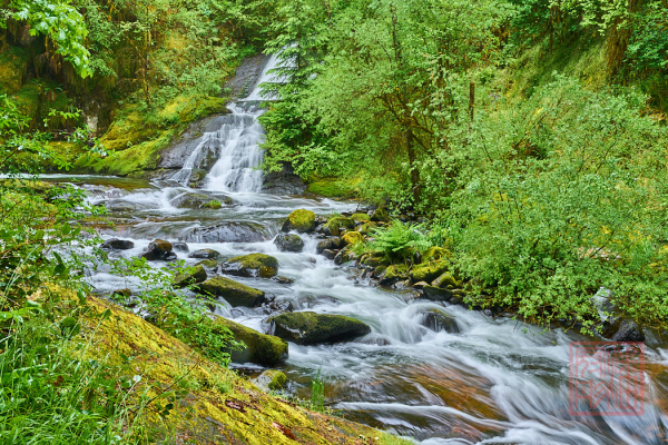 2205_Oregon_177