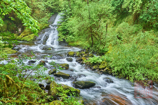 2205_Oregon_178