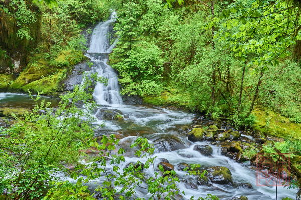 2205_Oregon_179