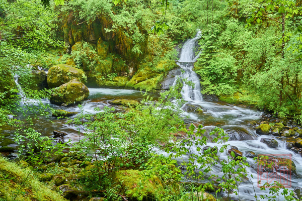 2205_Oregon_180