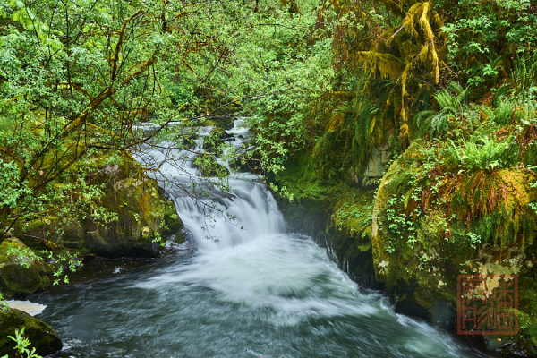 2205_Oregon_181