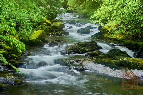 2205_Oregon_182
