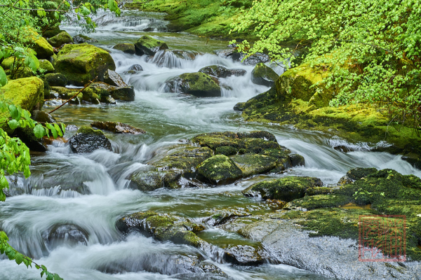 2205_Oregon_183