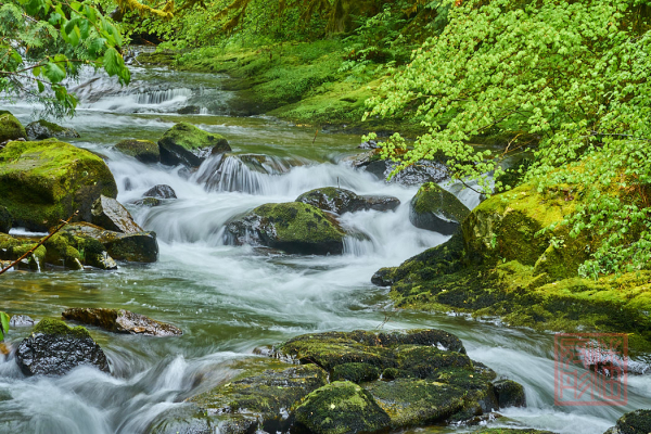 2205_Oregon_184