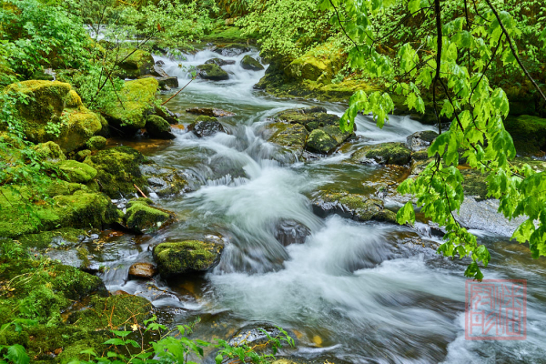 2205_Oregon_185