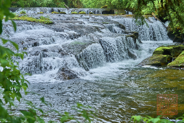 2205_Oregon_188