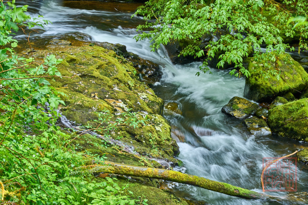 2205_Oregon_189