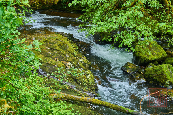 2205_Oregon_190