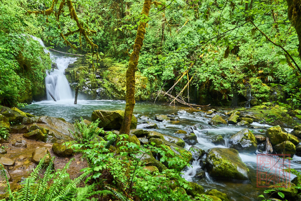 2205_Oregon_191