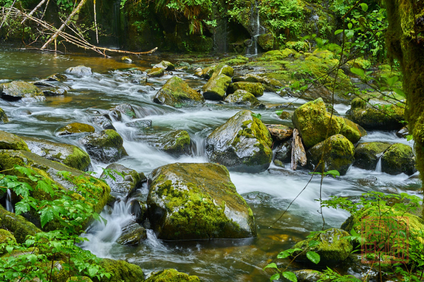 2205_Oregon_192