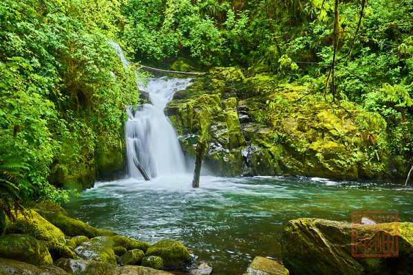 2205_Oregon_193