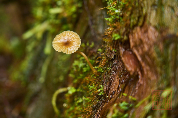 2205_Oregon_194