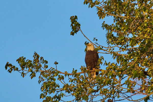 2205_Washington_171
