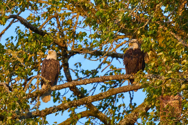 2205_Washington_175