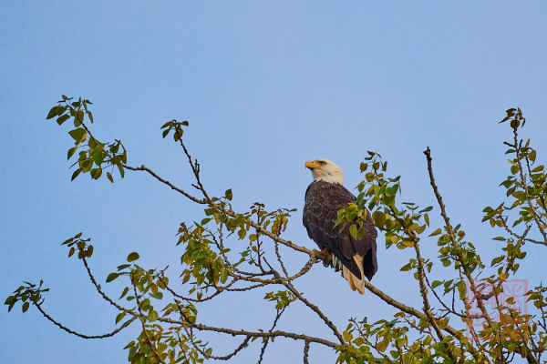 2205_Washington_176