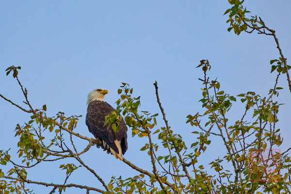2205_Washington_177