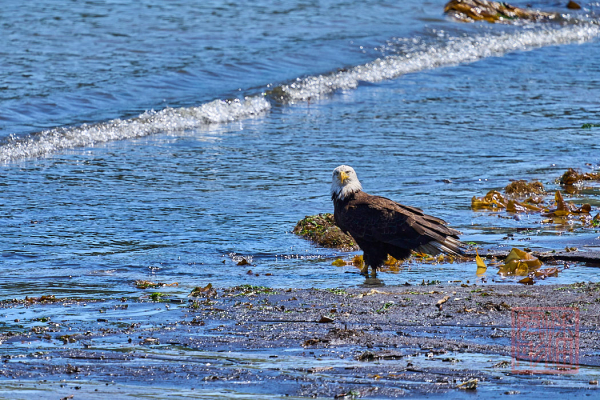 2205_Washington_186