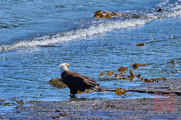 2205_Washington_187