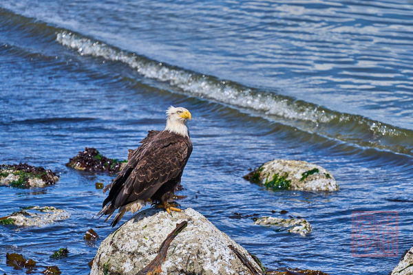 2205_Washington_191