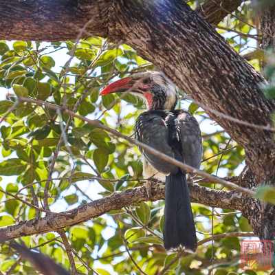 050523-birds_06
