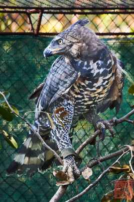 051623-bird_03