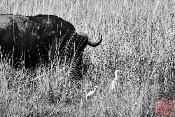 050723-land_12