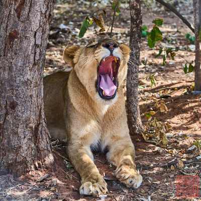 050823-land_09