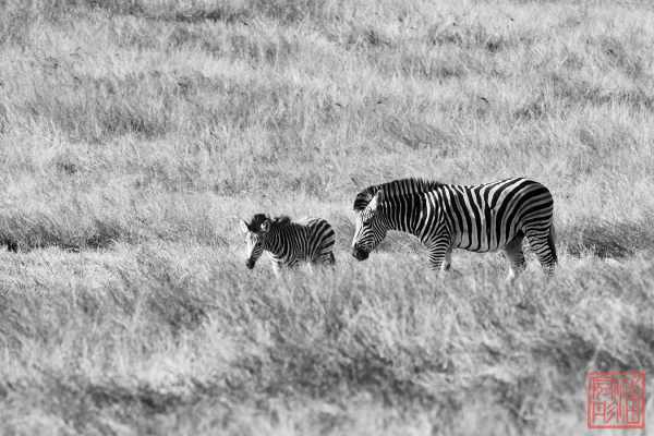 052623-land_28