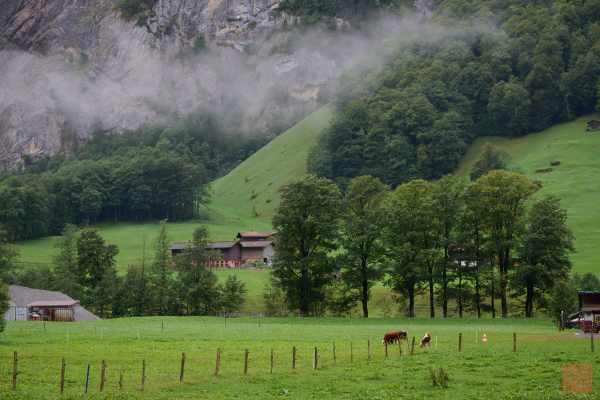 2309-Murrenbach-waterfalls_04