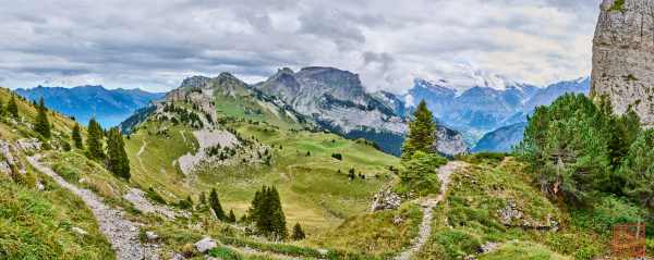 2309-Schynige-Platte_16