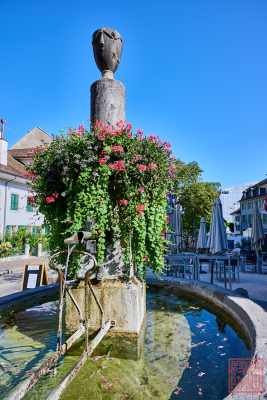 2309-Nyon_07